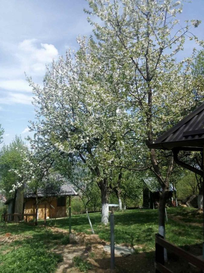 Bungalows Old Town Visoko Extérieur photo